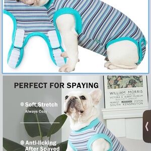 Aqua Striped Dog Recovery Suit